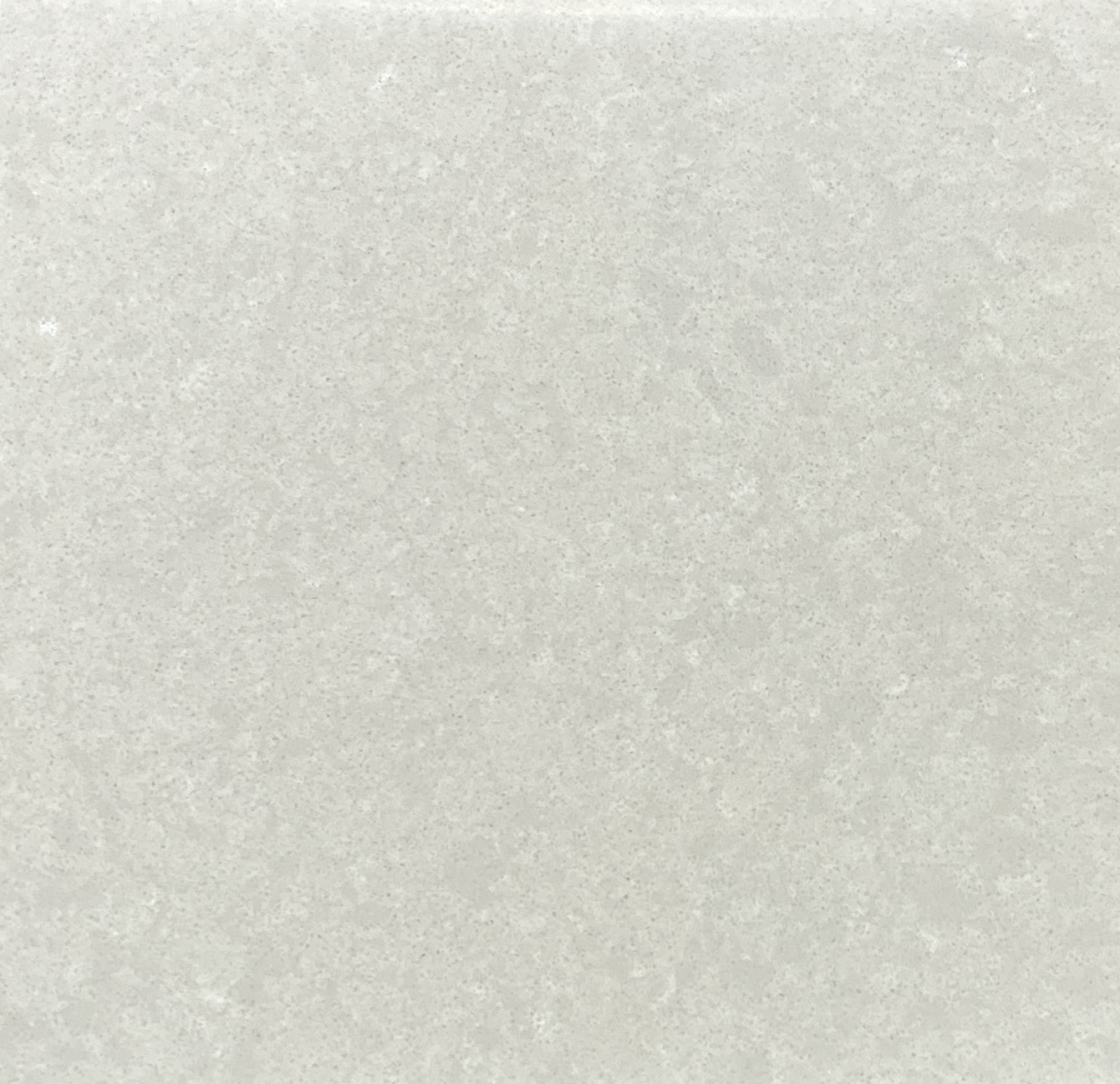 V2007