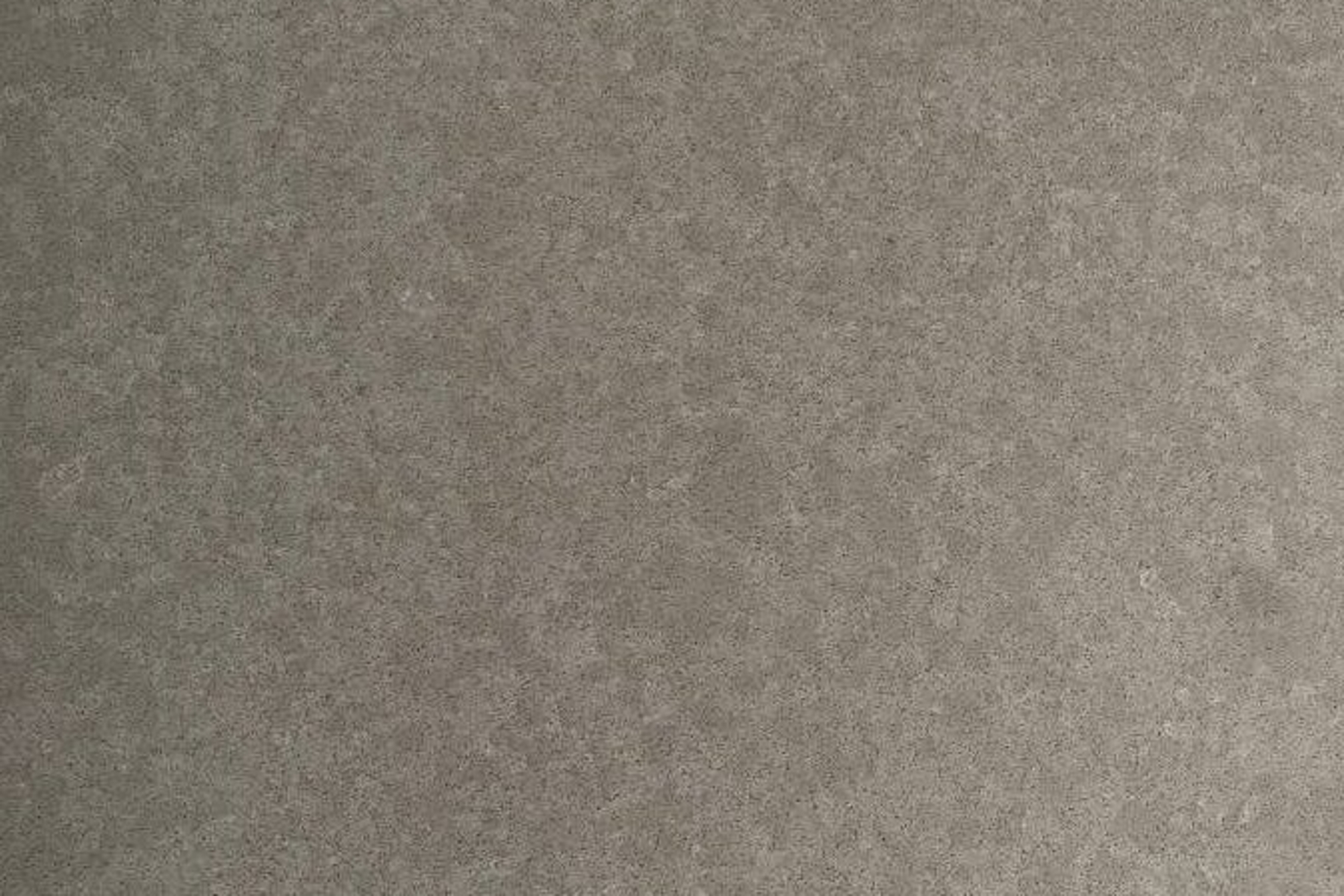 V5565